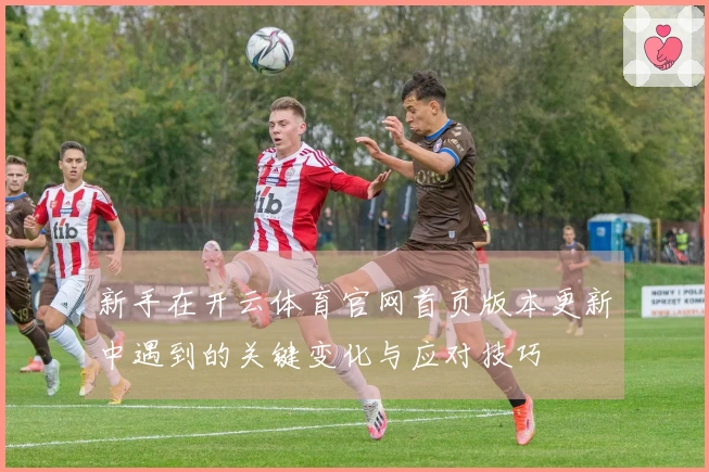 新手在开云体育官网首页版本更新中遇到的关键变化与应对技巧