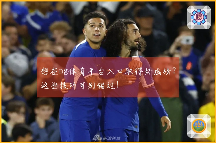 想在ng体育平台入口取得好成绩？这些技巧可别错过！
