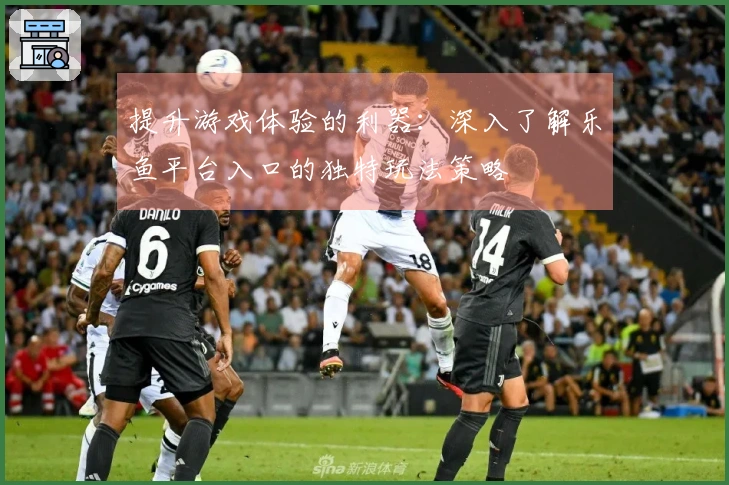 提升游戏体验的利器：深入了解乐鱼平台入口的独特玩法策略